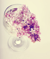 Lilac branch in a glass.