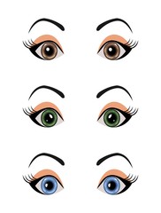 set female eyes isolated