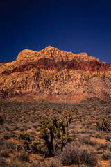 Mountains Of Red Rock Canyon Conservtion Area 4