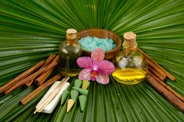 Set for tropical spa and palm leaf texture