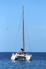 Obraz premium Guadeloupe - Petite Anse - Janv 2015 - Nath