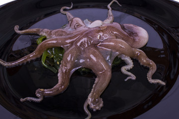 one fresh sea octopus on a big black plate
