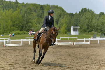 A horsewoman obstacle in preparation