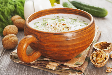 Tarator, bulgarian sour milk soup