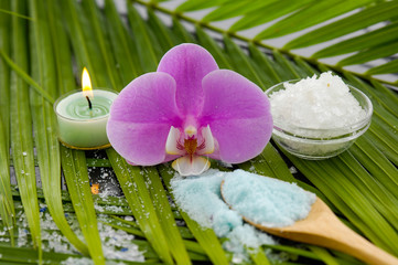 spa setting with palm texture
