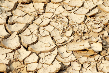 Cracked earth background