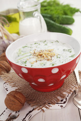 Tarator, bulgarian sour milk soup