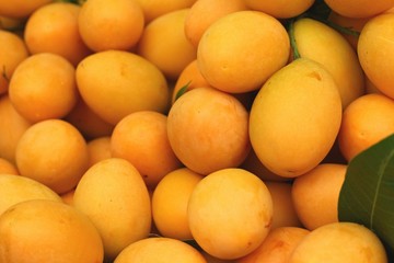 Marian plum fruit - asia fruit