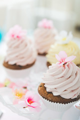 Cupcake