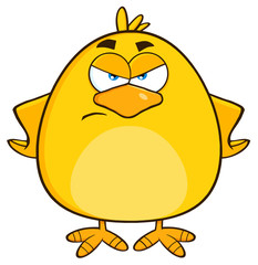 Angry Yellow Chick Cartoon Character