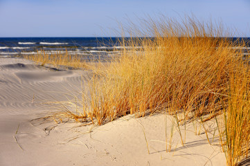 Morze Bałtyckie, plaża z wydmą porosnietą trawami - obrazy, fototapety, plakaty