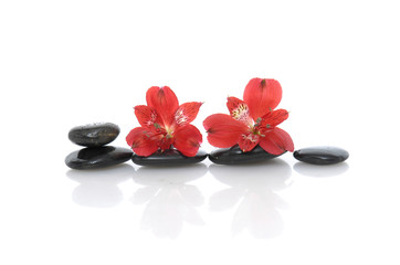 Fototapeta na wymiar Spa concept with two red orchid on stone