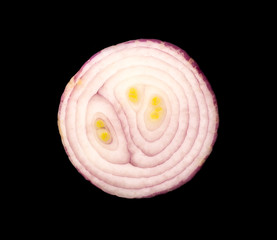 Slice of red onion on black background