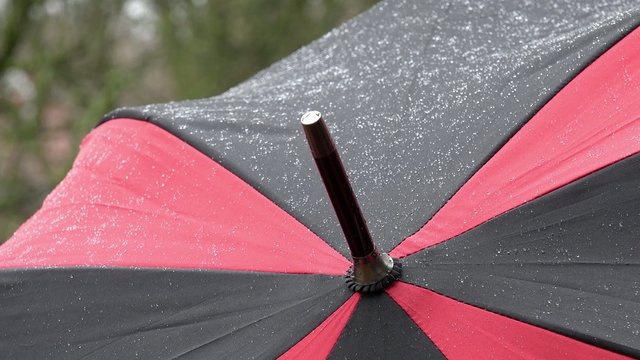 Regenschirm im Regen