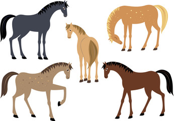 Set of horses