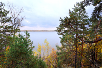 Obraz premium autumn in the mixed forest