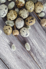 Fototapeta na wymiar Easter background quail eggs catkins wooden table