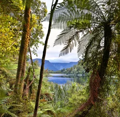 Schilderijen op glas Lake Matheson, New Zealand - HDR image © Henner Damke