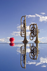 retro brass musical instruments on mirror and apple