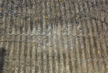 old slate