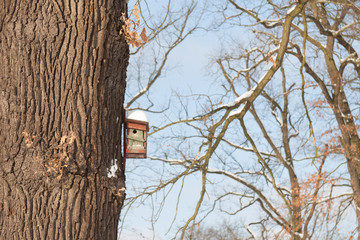 Vogelhaus am Baum