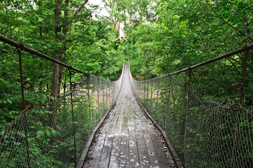 Fototapeta na wymiar suspension bridge over the river in the green thickets