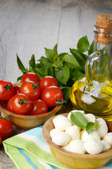 Mozzarella, tomatoes and oil