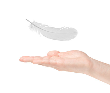 feather and hand on white background