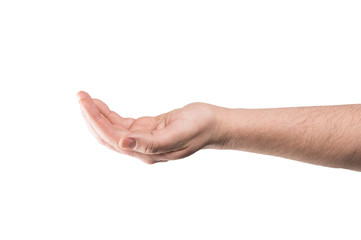 hand, palm up, isolated on white background