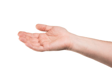 Collage of woman Hands gestures set, on white background.