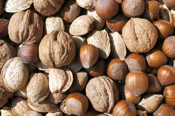 fruits secs de jardin