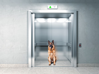 elevator security © tiero