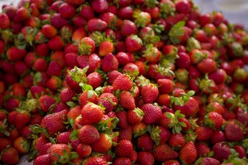 maroc Agadir souks march&eacute; aux fruits et l&eacute;gumes