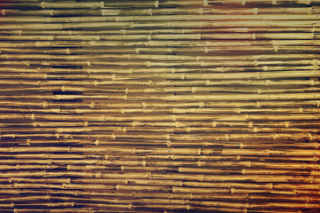 bamboo texture