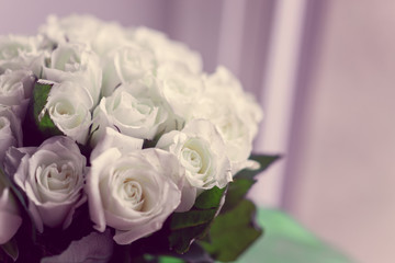 Pastel white roses