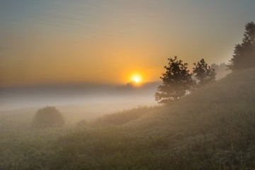Fototapeta na wymiar Foggy morning on polish meadow
