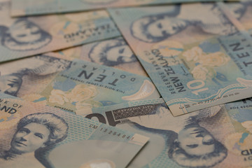 new zealand dollar