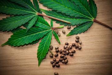 marijuana leaves on wooden table