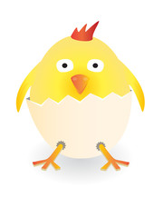 Little easter cartoon chicken