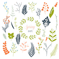 Collection of spring flowers, leaves, dandelion, grass.