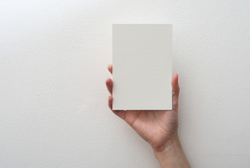 hand holding blank card on white background - 80459062
