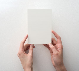 hand holding blank card on white background