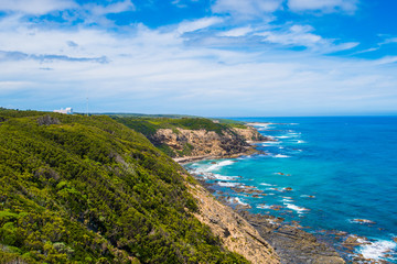 Fototapeta na wymiar The Great Ocean Road, Victoria, Australia