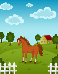 Horse on farm