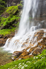 Fototapeta premium Spring Waterfall