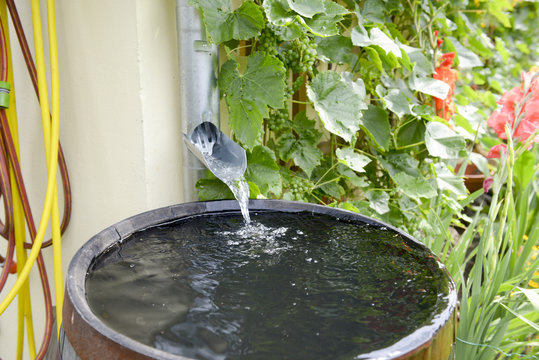 Regentonne im Garten
