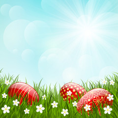 Easter red eggs on green grass