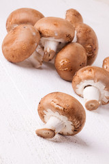 Fresh brown portobello or agaricus mushrooms