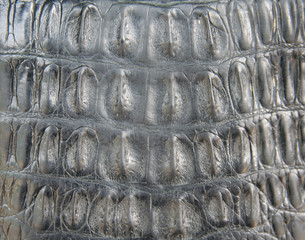 Black crocodile leather texture closeup background