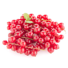 Red Currants